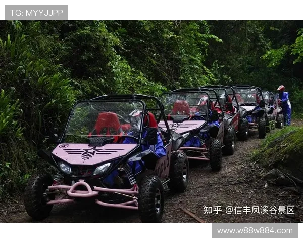 UTV直播全新上线，精彩节目全天候不间断放送